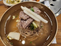 해장 평양냉면 | 음식 갤러리 해장 평양냉면 | 음식 갤러리 | 루리웹