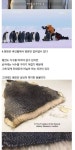 동물의 10가지 신기한 사실들