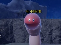 포켓몬레전드 루트 개깜놀 포켓몬