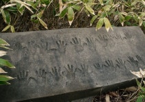 일본 버려진 폐교의 작은 체육관