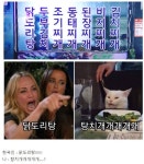 펌 한국에 사는 외국인들의 밈