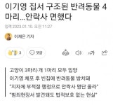연쇄살인마 이기영에게 주인 잃은 반려동물 4마리 근황 | 유머 게시판 | RULIWEB 연쇄살인마 이기영에게 주인 잃은 반려동물 4마리 근황 | 유머... 