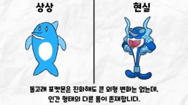 포케몬 유출러 설명을 듣고 상상한 것과 현실 | 유머 게시판 포케몬 유출러 설명을 듣고 상상한 것과 현실 | 유머 게시판 | 루리웹
