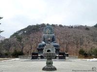 속초에서 먹은 것들 시골막국수 바람꽃해녀마을 카페로까