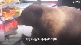 새벽마다 편의점 털어가는 악질 도둑놈