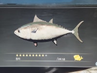 대형참치낚는법 | 용과 같이 유신! 극 | RULIWEB 대형참치낚는법 | 용과 같이 유신! 극 | 루리웹