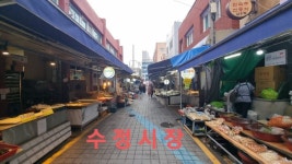 부산 동구 수정시장 | 정치유머 게시판 부산 동구 수정시장 | 정치유머 게시판 | 루리웹
