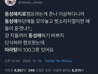 의외의 동성애 치료캠프의 효과jpg