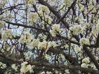 MM700│지난주 여행 가서 찍은 사진 1 | 남궁루리 지난주 여행 가서 찍은 사진 1 | 남궁루리 | 루리웹