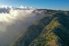 숲이 우거진 산골마을의 반전jpg