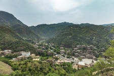 숲이 우거진 산골마을의 반전jpg