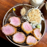 요즘 제주도 맛집 근황