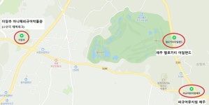 제주 피규어 찾아 제주도 덕질여행 제주도에서 발견한 덕후 저격 박물관