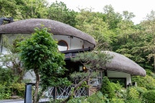 용인 산골짜기에 위치한 자작나무 이야기 레스토랑 | 여행 행사 풍경 사진 갤러리 | RULIWEB 용인 산골짜기에 위치한 자작나무 이야기 레스토랑... 