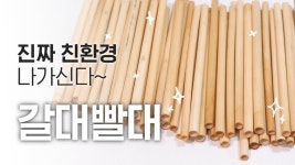 진짜로 친환경인데 의외로 잘 안쓰는거