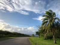 바둑이15개월차 두고 여행다녀왔습니다