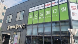 강원 강원도 덕질여행 강원 춘천원주강릉속초에서 덕질하는 방법