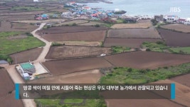 우도땅콩 다뒤졌네 - 커피 마이너 갤러리