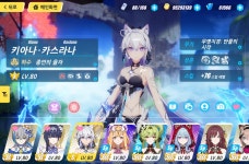 붕괴 돈통