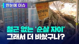 순살자이 브랜드네임이 너무 많아진 자이 근황