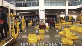 전낙지 일가에게 재산을 강탈당했던 레전드 모델