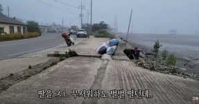 신안 염전 노예의 진실을 찾으러 떠난 유튜버 jpg