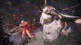 와룡