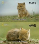 내 현재 상황 | 유머 게시판 내 현재 상황 | 유머 게시판 | 루리웹