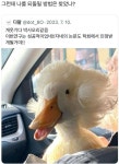 실험하다 변신한 박사 같은 오리