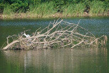 공릉저수지에 갔음