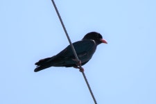 공릉저수지에 갔음