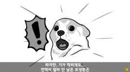 자기부대 대대장을 찌른 역대급 미1친놈