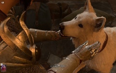 야영장은 힐링하는 곳이죠