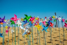 임진각 평화누리공원에서 | 여행 행사 풍경 사진 갤러리 | RULIWEB 임진각 평화누리공원에서 | 여행 행사 풍경 사진 갤러리 | 루리웹