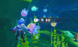 돌말이란 무엇일까