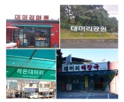 대머리 관광