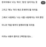 요즘 영어권에서 이상하게 해석되고 있다는 한국어