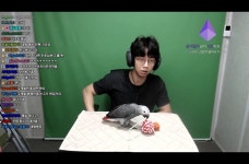 인방) 녹두로 벌써 둘째 입양; | 유머 게시판 인방) 녹두로 벌써 둘째 입양; | 유머 게시판 | 루리웹