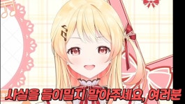 [버튜버]삐약이의 진지한 고민 | 유머 게시판 [버튜버]삐약이의 진지한 고민 | 유머 게시판 | 루리웹