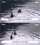 수심 5m 가라앉은 차에서 1시간 버틴 여성 극적 구조 | 유머 게시판 수심 5m 가라앉은 차에서 1시간 버틴 여성 극적 구조 | 유머 게시판 | 루리웹