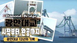 부산에서 건설할때 무진장 욕 먹었던 다리.jpg | 유머 게시판 부산에서 건설할때 무진장 욕 먹었던 다리.jpg | 유머 게시판 | 루리웹