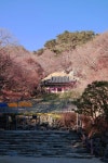 경주 여행 1일차