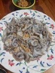 산낙지 ㅋ