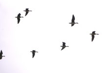 대장천생태습지 방문