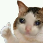 산나비 스포주의 산나비 준장