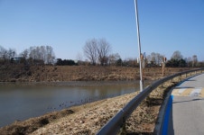 작년 대장천장항천 탐조