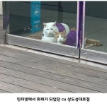 편의점 알바냥.jpg | 유머 게시판 편의점 알바냥.jpg | 유머 게시판 | 루리웹