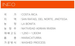 충격의 새 원두 니카라과 라 보니타 마라카투라 워시드