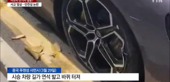 샤오미 전기차 출시 후 근황 | 유머 게시판 샤오미 전기차 출시 후 근황 | 유머 게시판 | 루리웹