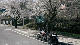 4월의 낭낭한 드라이브